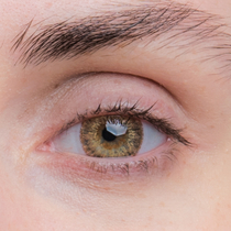 Цветные линзы EOS G321 II Brown